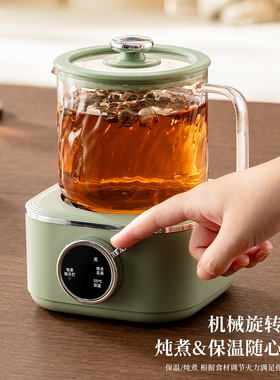 养生壶家用多功能全玻璃煮茶器烧水壶小型办公室花茶壶电热杯礼品