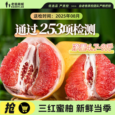 正宗广东梅州蜜柚红心柚子整箱