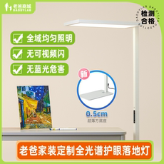 老爸家装定制落地灯大路灯