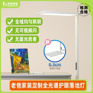 老爸家装定制落地灯大路灯