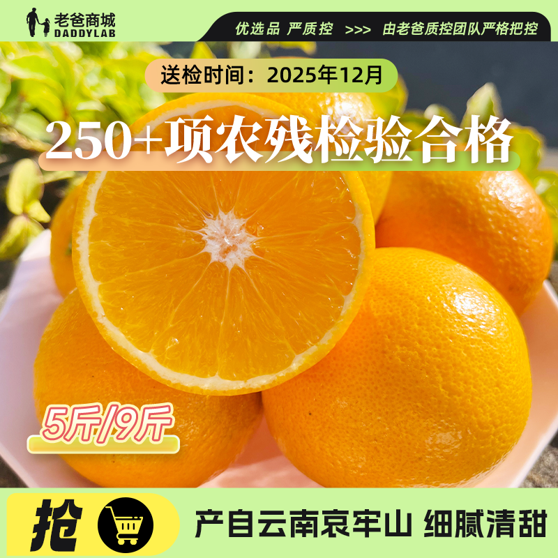 云南哀牢山现摘冰糖橙