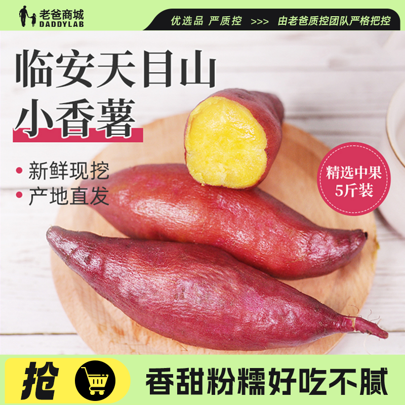 老爸评测小香薯正宗板栗红薯新鲜