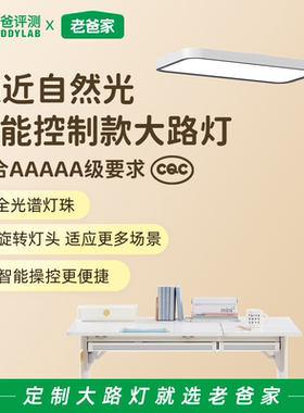 老爸评测智控全光谱护眼落地灯智能大路灯蓝光危害RG0照明