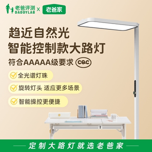 老爸评测智控全光谱护眼落地灯智能大路灯蓝光危害RG0照明