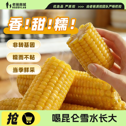 新疆鲜食玉米新鲜香甜粘糯