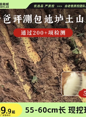 老爸评测铁棍山药正宗河南焦作温县垆土土特产整箱5斤
