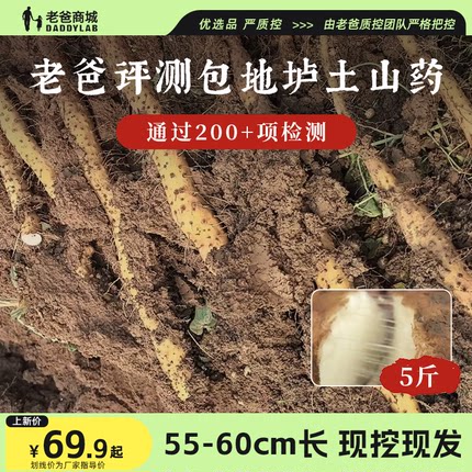 老爸评测铁棍山药正宗河南焦作温县垆土土特产整箱5斤