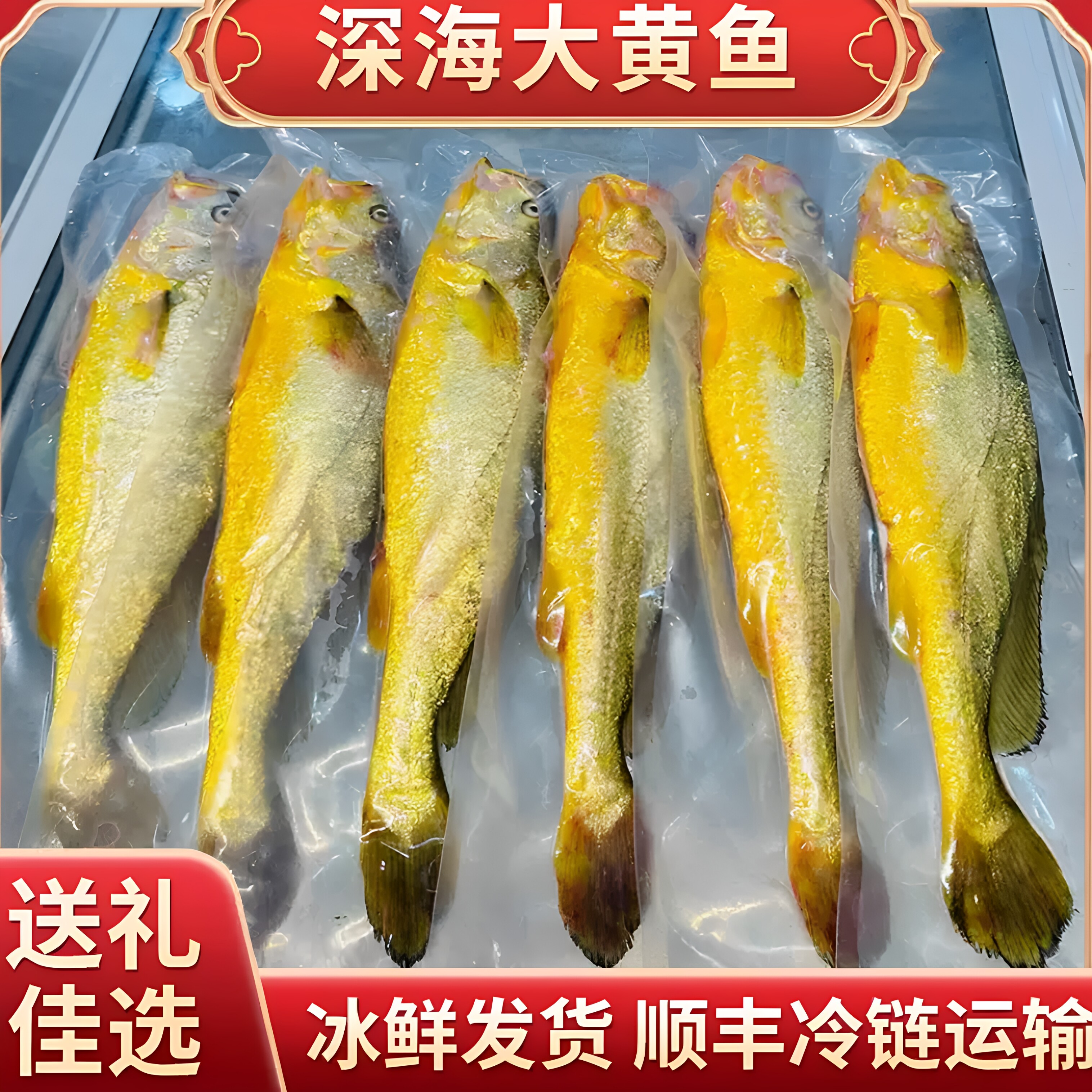正宗宁德深海野化大黄鱼