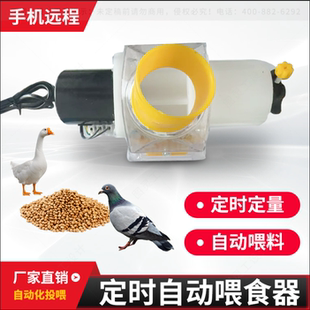 家禽喂料机鸡鸭鸽子自动喂食器定时定量手机远程养殖场家用投料机