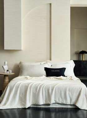 高端轻奢风高级感重磅天丝蚕丝被夏凉被简约纯色白色薄被子空调被