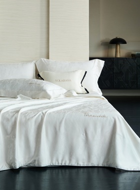 高端轻奢风高级感重磅天丝蚕丝被夏凉被简约纯色白色薄被子空调被