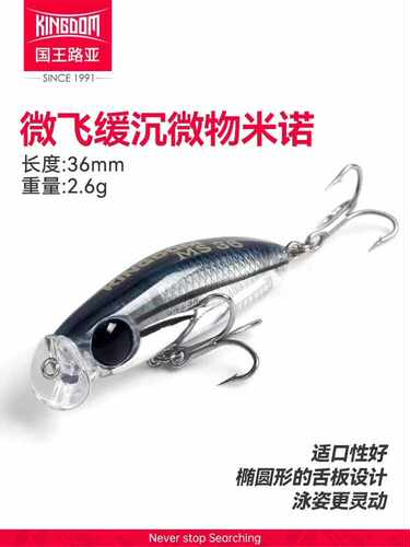 沉水青稍马口超小白条微物国王
