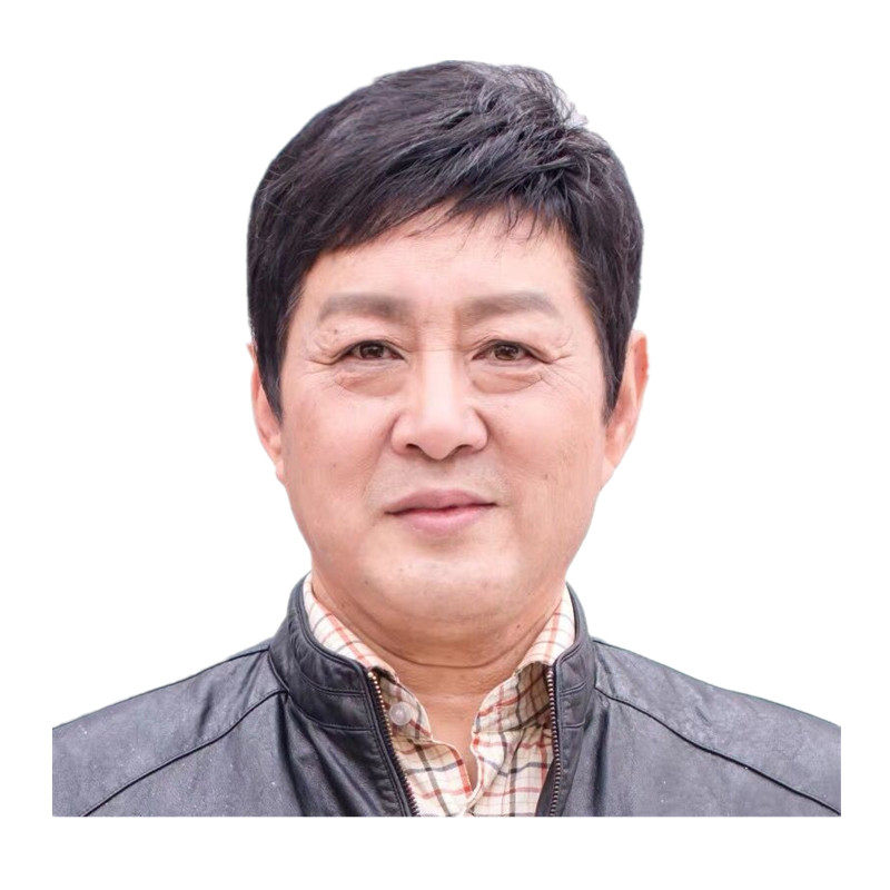 商务真丝全手织透气中老年假发