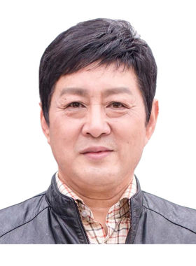 商务真丝全手织透气中老年假发