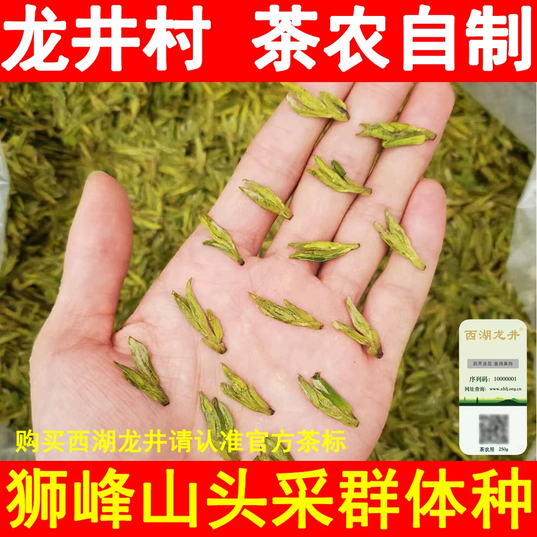 西湖龙井2026明前头采狮峰山绿茶