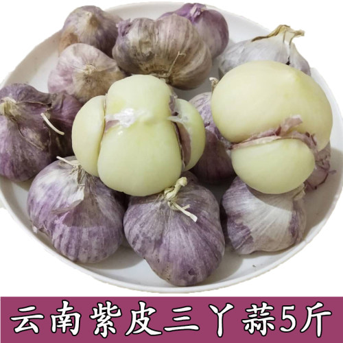 云南干蒜紫皮蒜三瓣蒜三丫蒜