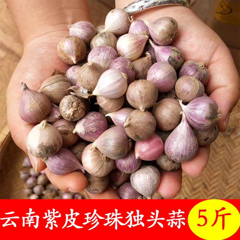 独头蒜紫皮大蒜珍珠蒜云南独蒜头红皮大蒜头干蒜独头大蒜子紫蒜