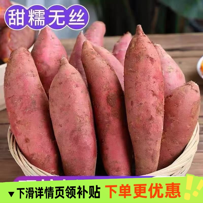 正宗沙地黄心蜜薯现挖龙九番薯新鲜糖心地瓜板栗红薯山芋批发