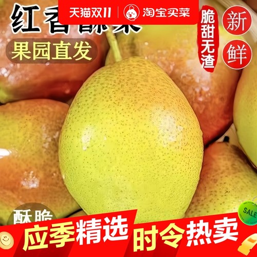 正宗红香酥梨头茬当季现摘香梨青梨子脆甜特产新鲜水果整箱包邮