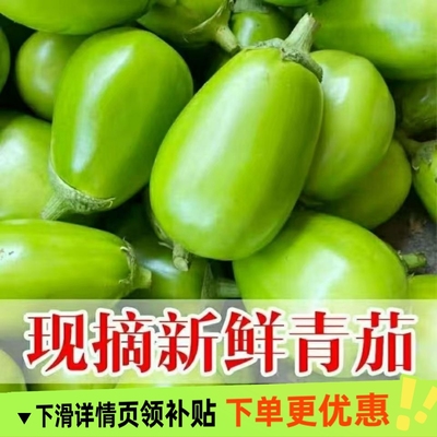 东北新鲜青茄子农家自种绿茄子新鲜蔬菜圆茄子3斤5斤包邮