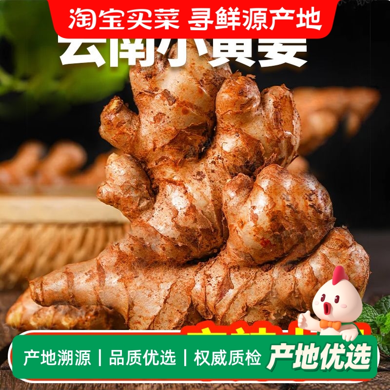 2025云南正宗小黄姜罗平新鲜生姜老姜现挖高山沙姜土姜种子蔬菜