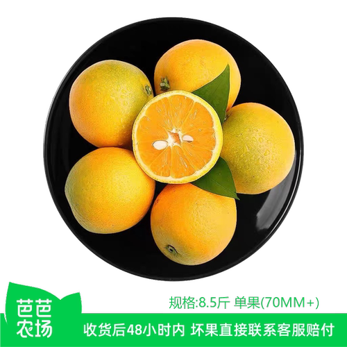 【芭芭农场】夏橙8.5斤单果70mm+