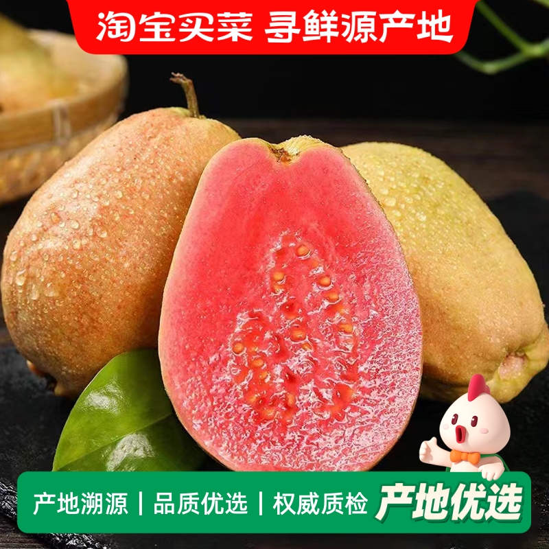 福建软糯红心芭乐水果软心番石榴奶油翻潘蕃鸡屎果新鲜巴乐果