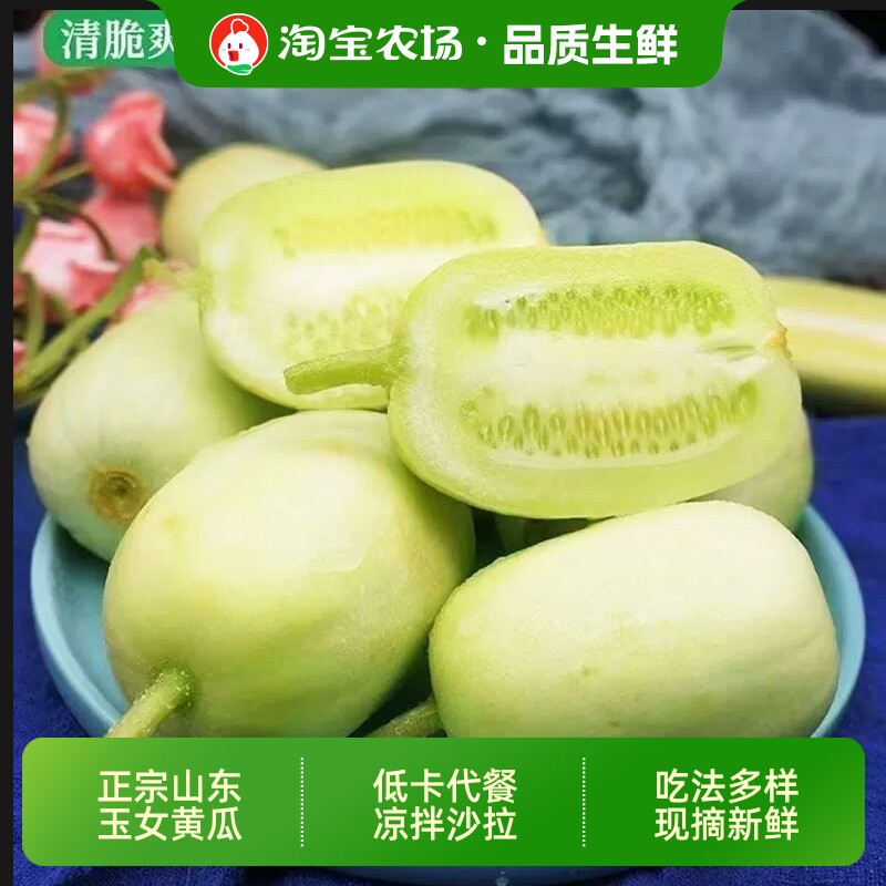 玉女新鲜青瓜现摘黄瓜小青瓜水果黄瓜农家自种拇指农场正宗