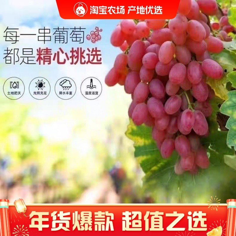 顺丰包邮无籽红提克伦生提子葡萄5斤净重新鲜水果孕妇小孩水果,水产肉类/新鲜蔬果/熟食,葡萄/提子,淘宝优惠券,粉丝福利购,淘宝优惠卷