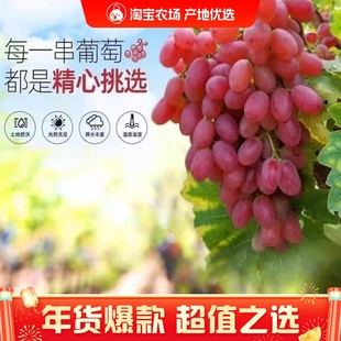 顺丰包邮无籽红提克伦生提子葡萄5斤净重新鲜水果孕妇小孩水果