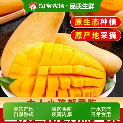 云南金煌芒晚熟芒果新鲜9斤当季热带水果大青芒特大农场现摘果肉