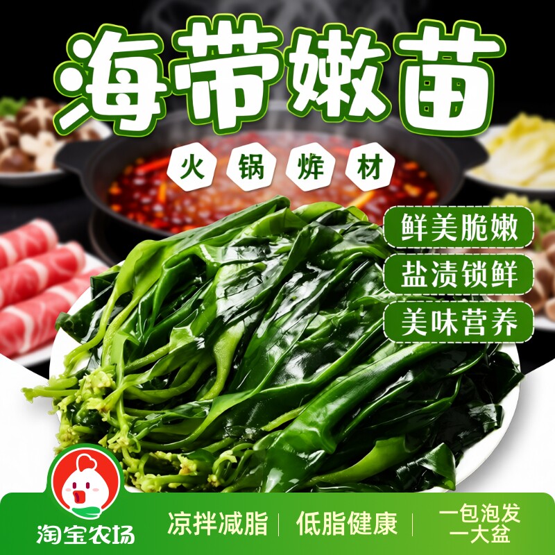 海带苗嫩牙嫩苗霞浦新鲜火锅食材商用批发特产包邮鲜海带干货美味