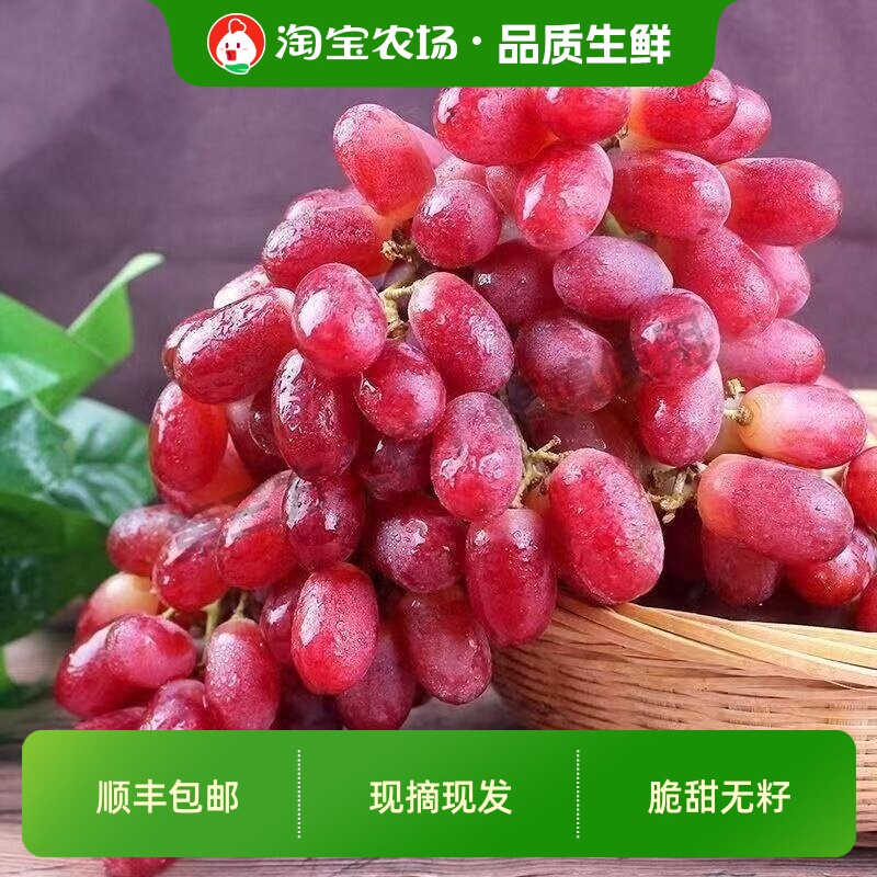 顺丰包邮无籽红提克伦生提子葡萄新鲜水果净重孕妇小孩水果