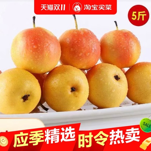 正宗东北南果梨 香水梨酒香新鲜水果新鲜冻梨孕妇水果