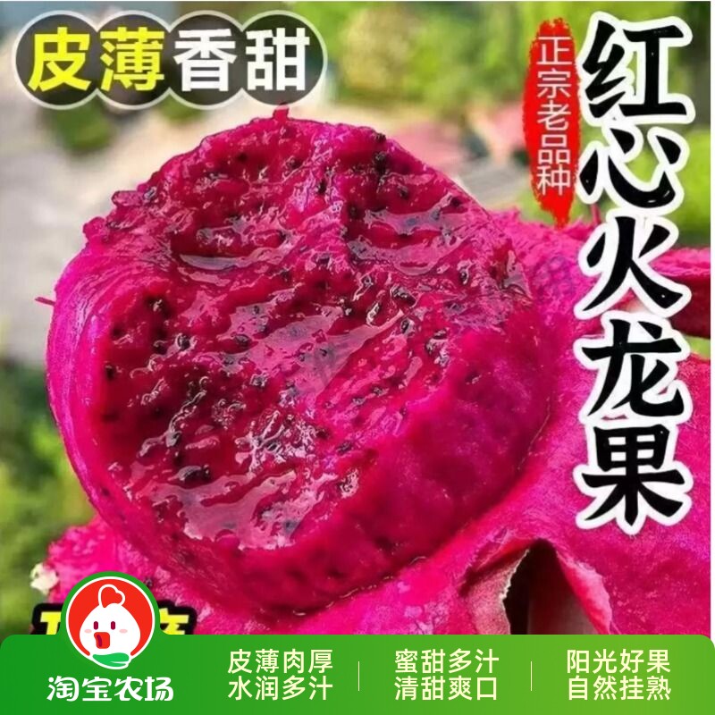 广西正宗金都一号新鲜采摘红心火龙果皮薄多汁新鲜好果基地直发