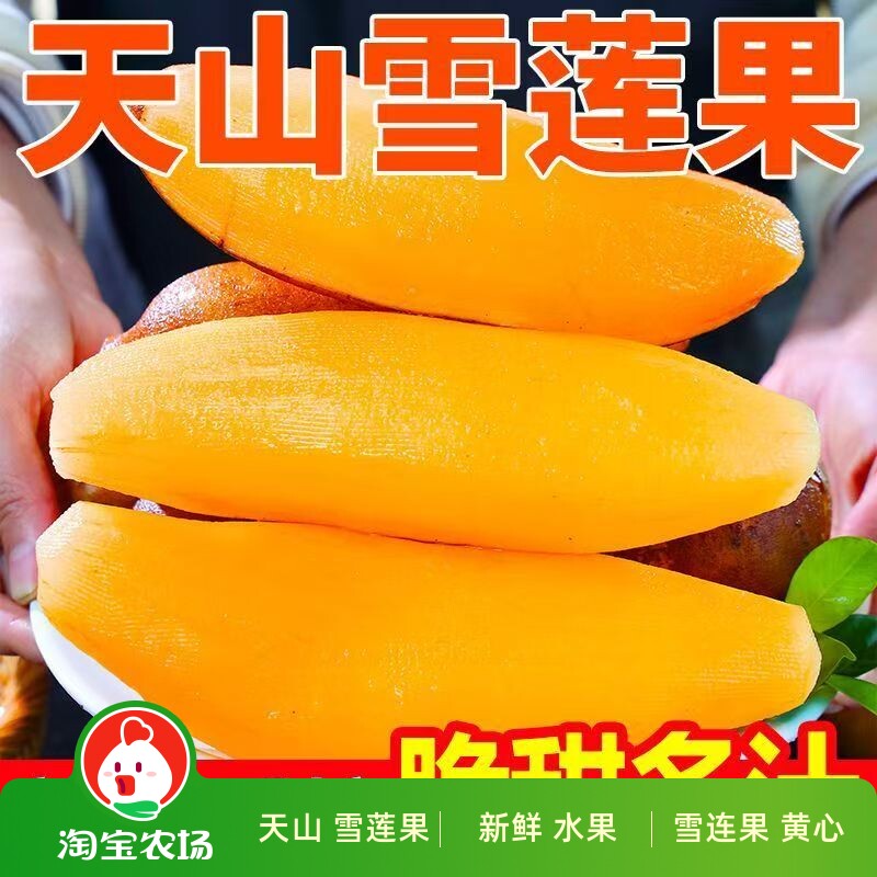 天山雪莲果新鲜水果大果应当季云南孕妇红心雪连果黄心特整箱农场