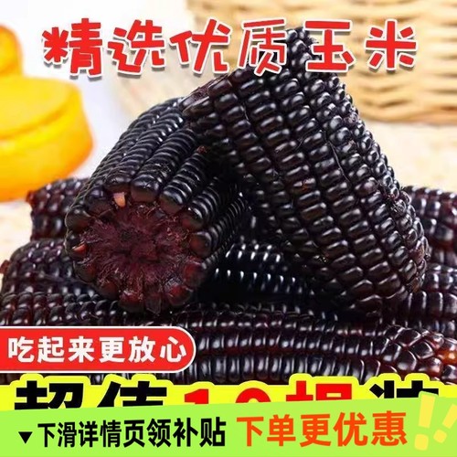 东北玉米新鲜现摘黏甜黑糯玉米软糯真空锁鲜农家自种粗粮代餐早餐