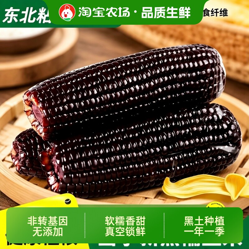 东北黑糯玉米新鲜加热即食甜糯粘10支装黑玉米早餐香甜玉米棒真空