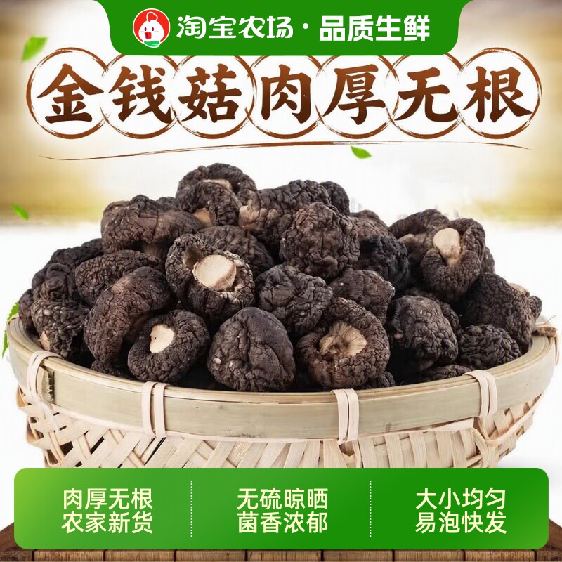 黑面金钱菇干货小香菇农家蘑菇菌菇类食材冬菇火锅香菇粉袋装有机