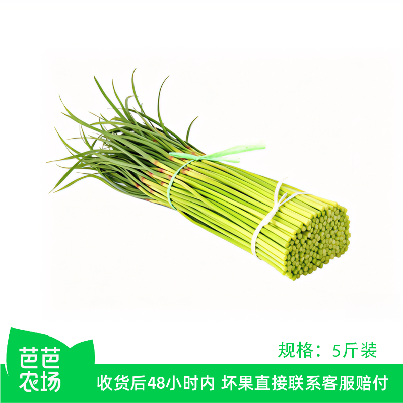 【芭芭农场兑换专享】新鲜蒜苔5斤