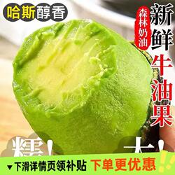 秘鲁哈斯牛油果孟连奶油果鳄梨当季即食新鲜水果整箱包邮香蕉鲜果
