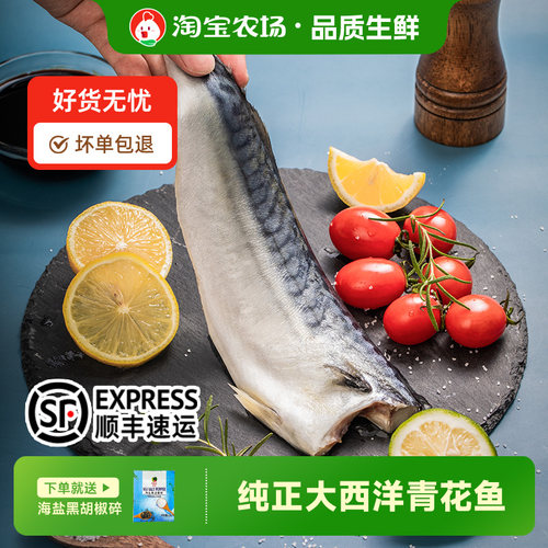 【不包冰高品质】纯正挪威青花鱼