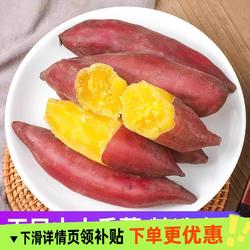 临安小香薯正宗板栗红薯新鲜农家自种小番薯地瓜蜜薯