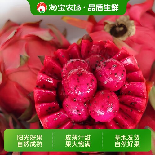 顺丰包邮金都一号广西红心火龙果