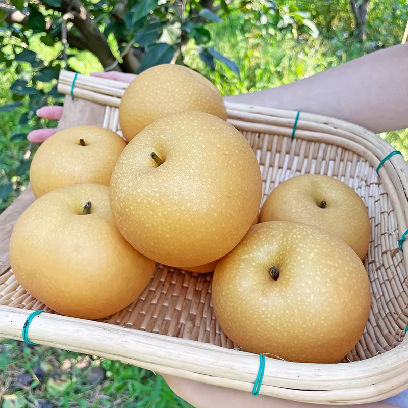 【芭芭农场】秋月梨6粒装单果300g+,水产肉类/新鲜蔬果/熟食,梨,淘宝优惠券,粉丝福利购,淘宝优惠卷