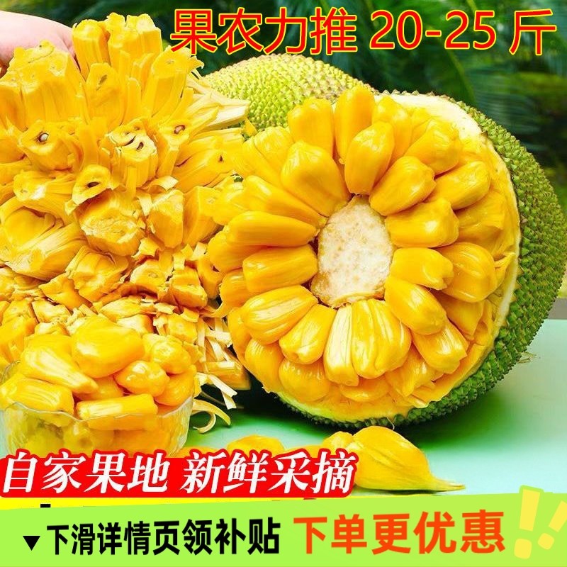 海南三亚黄肉菠萝蜜新鲜水果包邮当季现摘波罗一整个整箱当季包邮,水产肉类/新鲜蔬果/熟食,菠萝蜜,淘宝优惠券,粉丝福利购,淘宝优惠卷