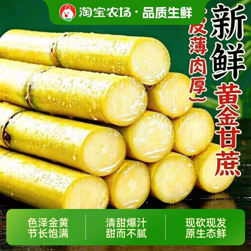 广西黄金甘蔗9斤当季新鲜脆甜黄皮甘蔗中段热带水果特产整箱包邮