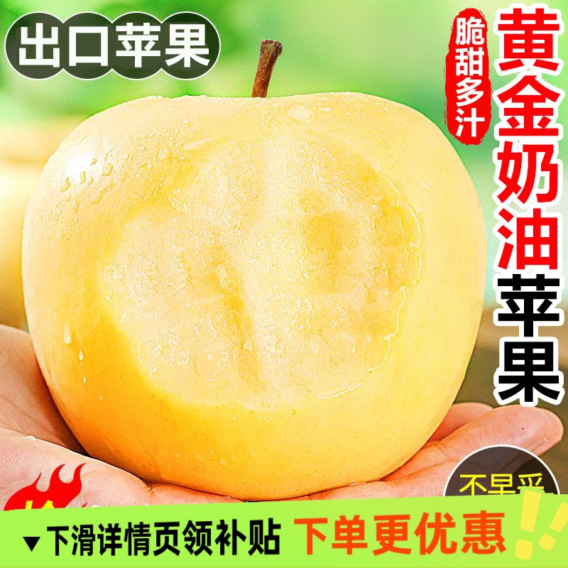 山东烟台黄金奶油富士苹果4.5斤/8.5斤脆甜多汁当季新鲜现货发