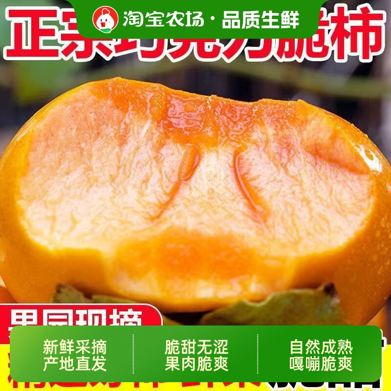 正宗巧克力脆柿子新鲜水果当季脆柿冰糖心火晶柿子整箱现摘脆甜
