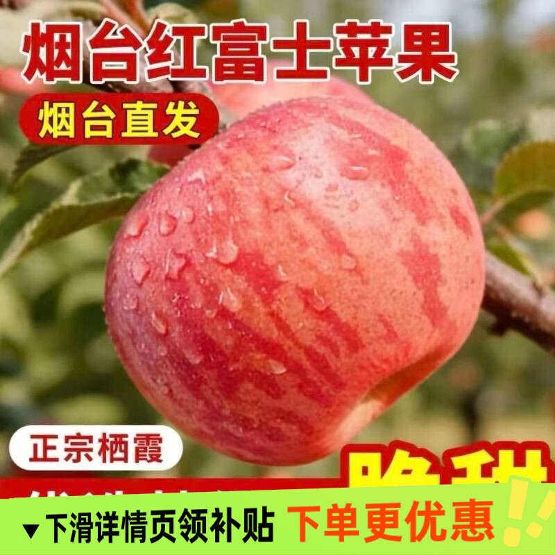 正宗烟台红富士苹果山东当季优质好果新鲜水果脆甜健康整箱批发